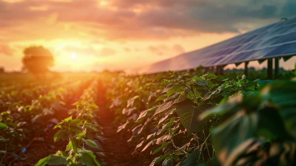 /media/x0ppqpxo/sunset-agricultural-scene-with-solar-panels.jpeg
