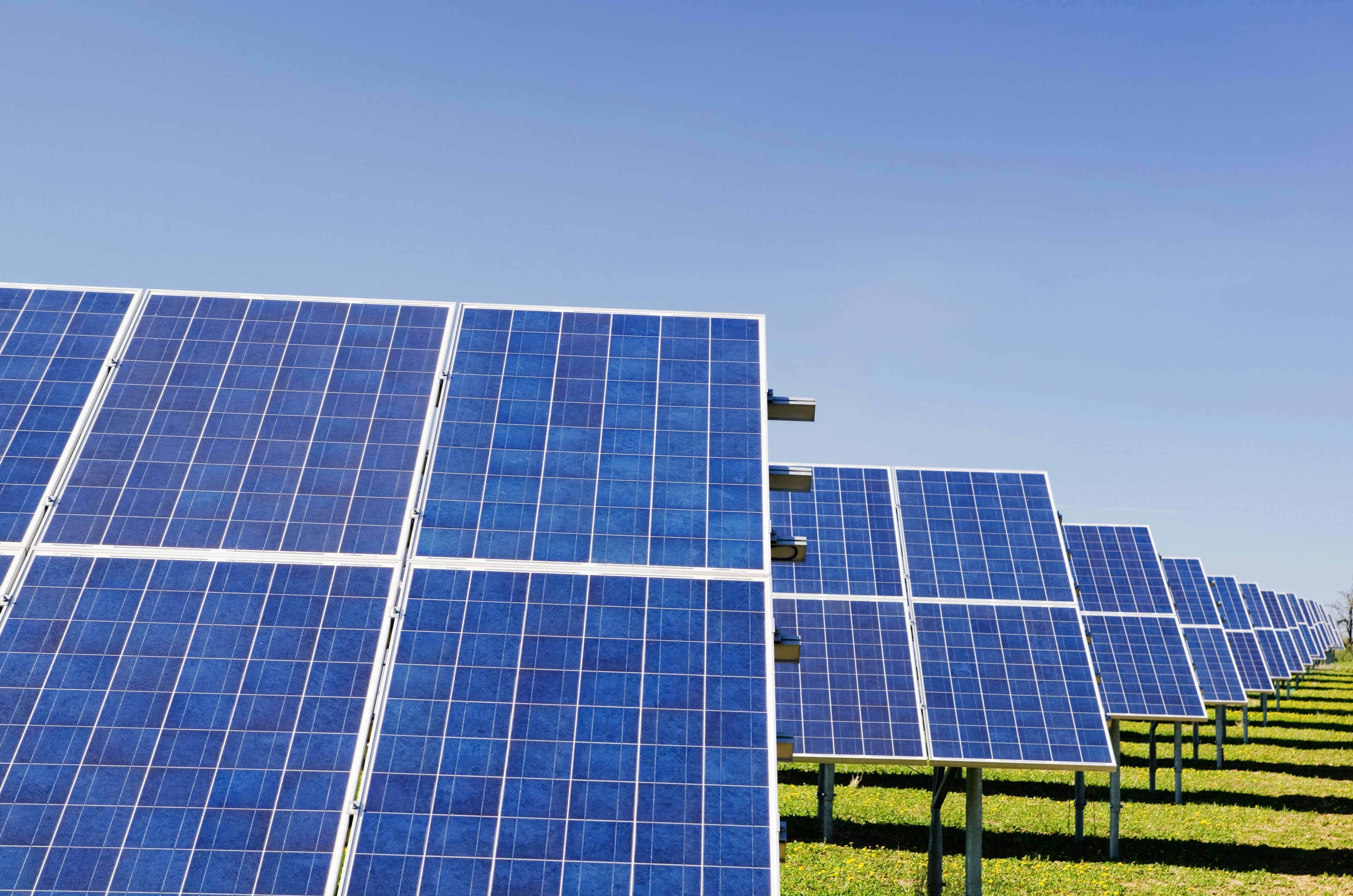 Blue Solar Panels Installed Outdoors In Sunlight